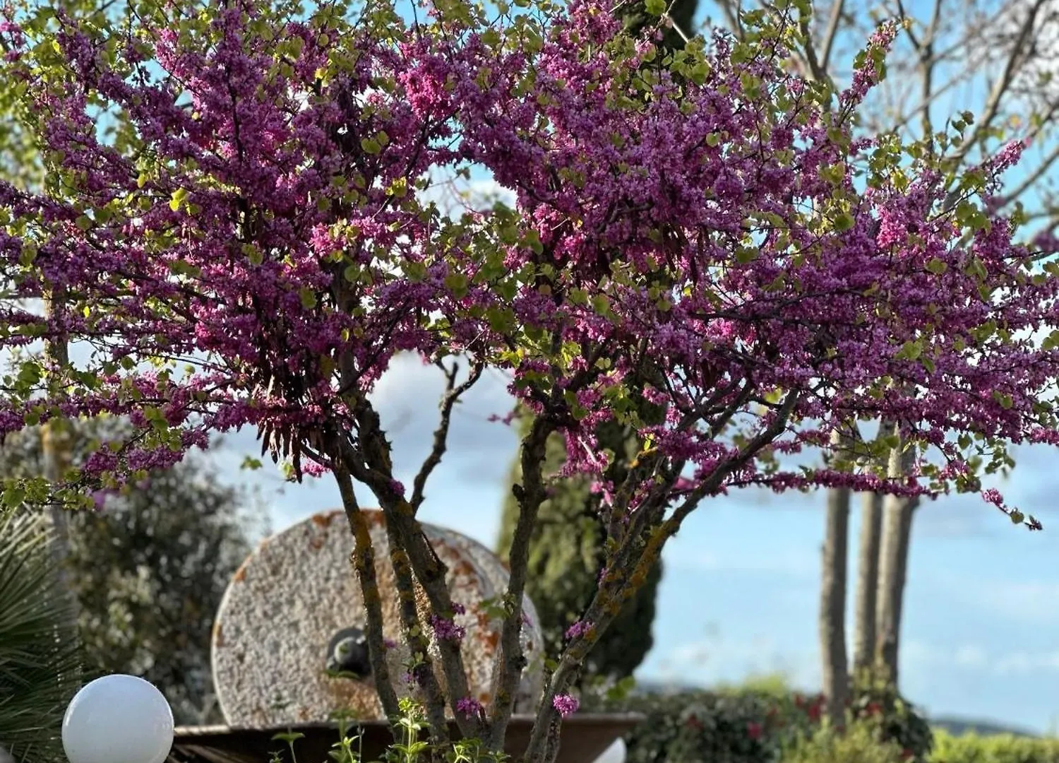 Bed and Breakfast Antico Borgo Il Cardino San Gimignano Italia