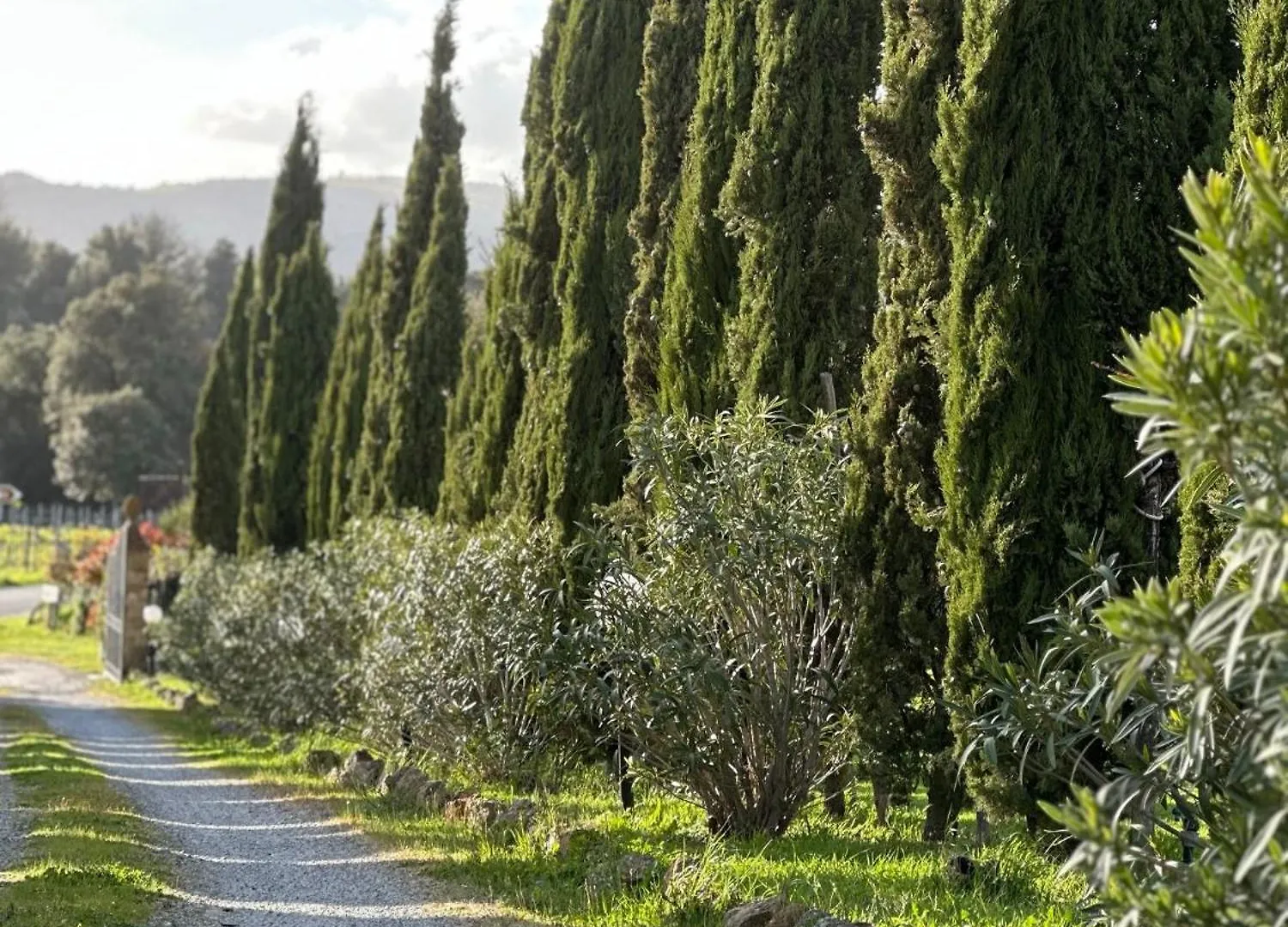 Bed and Breakfast Antico Borgo Il Cardino San Gimignano Italia